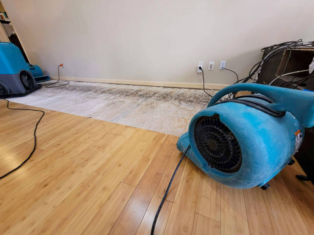 Professional Flood Damage Cleanup technician working in Summertown, TN